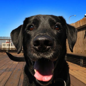 プロフィール画像