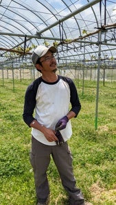 プロフィール画像