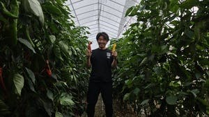 プロフィール画像