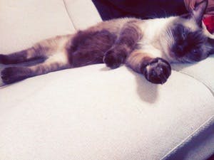 プロフィール画像