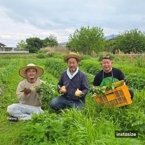 プロフィール画像