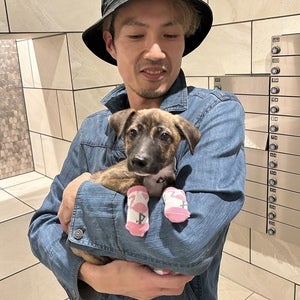 プロフィール画像