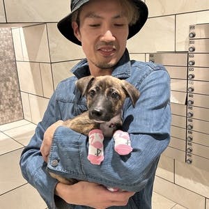 プロフィール画像