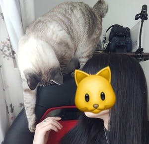 プロフィール画像