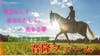 ShinryuFarm
