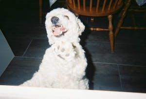 プロフィール画像