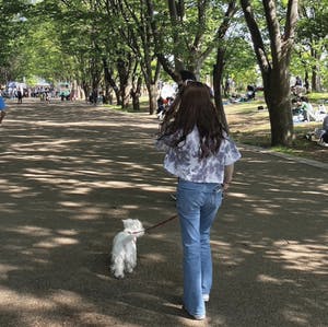 プロフィール画像