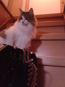 プロフィール画像