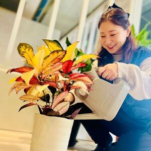 プロフィール画像