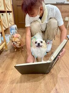 プロフィール画像