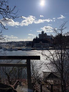 プロフィール画像