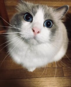 プロフィール画像