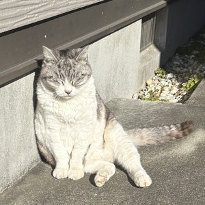 kentoo1のプロフィール画像