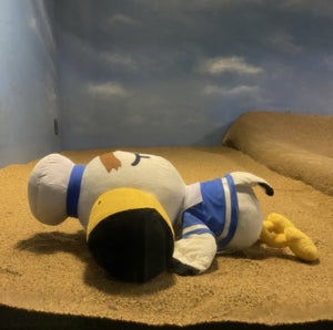 プロフィール画像